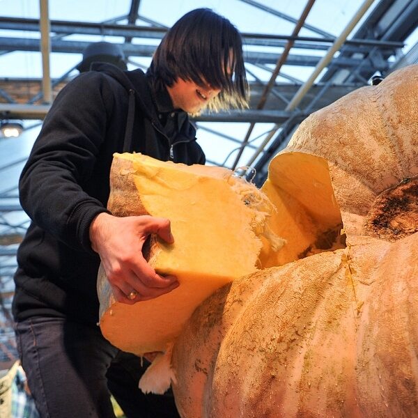 Фестиваль цветов и урожая «Краски осени»