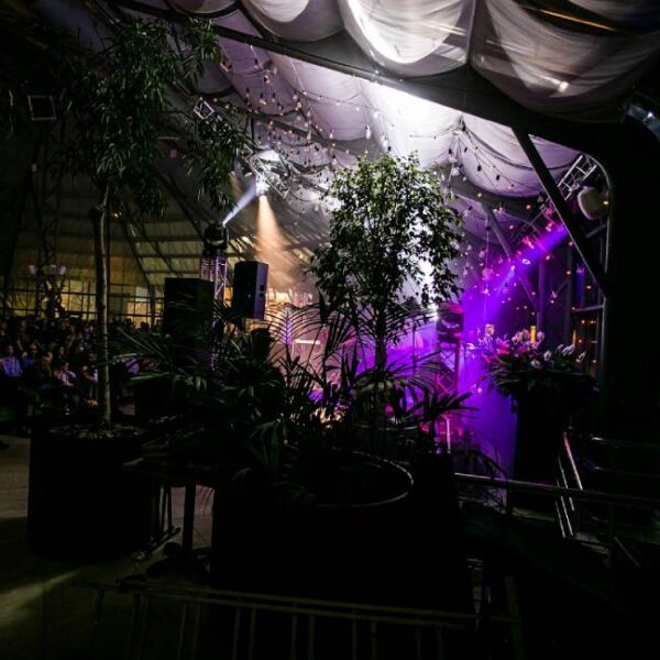 Концерт «Simple Music Ensemble. Ханс Циммер»