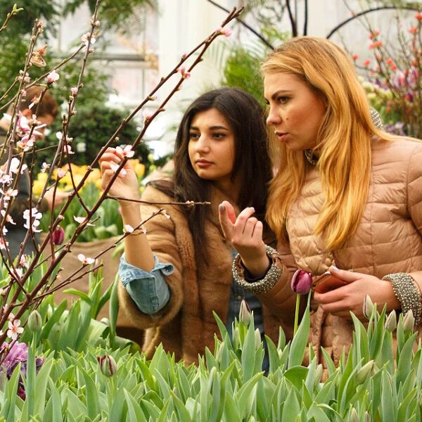 Где отметить 8 марта в Москве 2022: 15 лучших идей для праздника