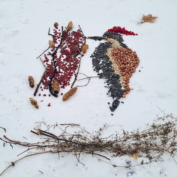 Фестиваль «Снежный холст»