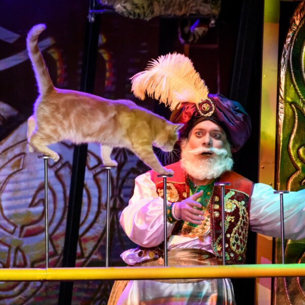 Спектакль «Восточная сказка» в Театре кошек Куклачева