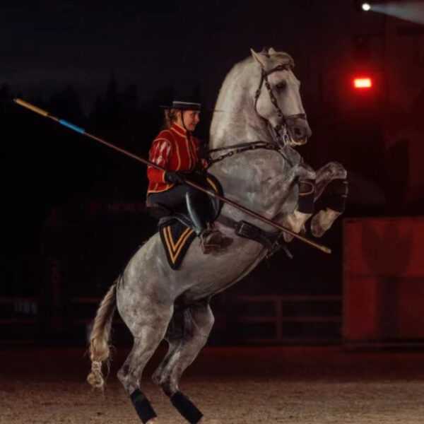 Конное гала-шоу