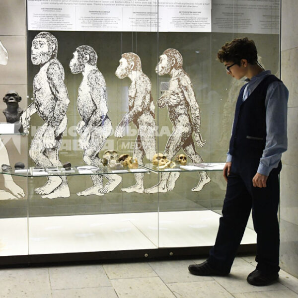 Весенние каникулы в Дарвиновском музее