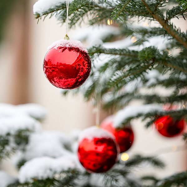 Спектакль «Новогоднее приключение Нильса»