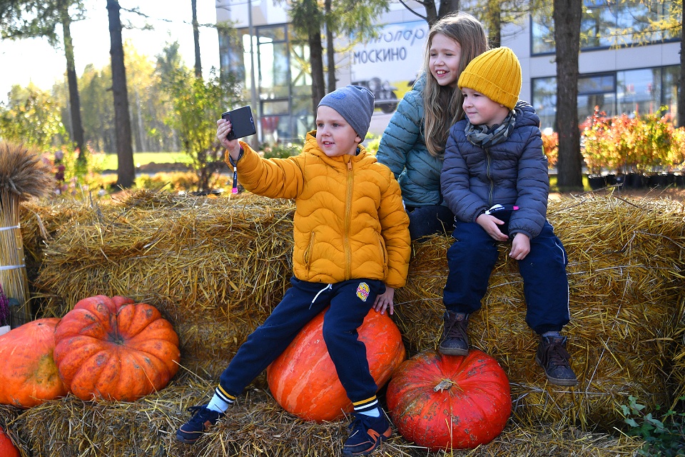 Куда сходить с детьми на осенние каникулы в Москве 2025: от Хэллоуина до Дня лешего