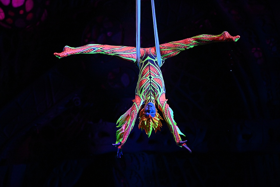 30 лучших идей, куда сходить на выходных в Москве 18 и 19 октября 2025: костюмированная пэт-вечеринка, водное шоу и погружение в Средневековье