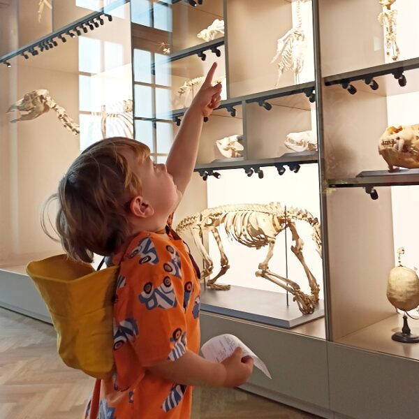 День матери в Биологическом музее