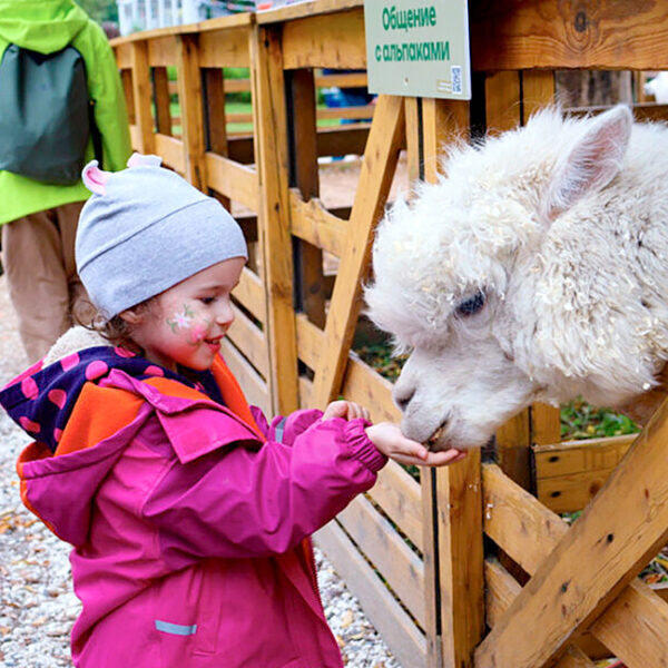 День весеннего равноденствия на Городской ферме