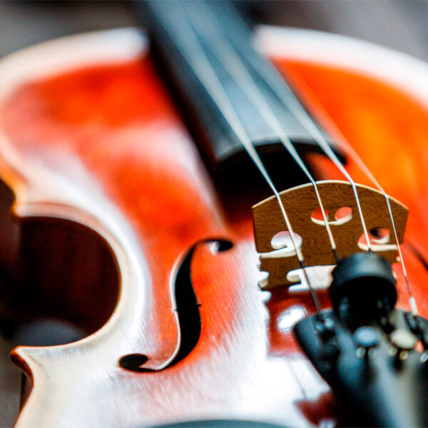 Концерт «Скрипка Жана Батиста Вильома» в Музее музыки