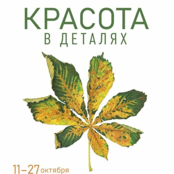 Выставка «Красота в деталях»