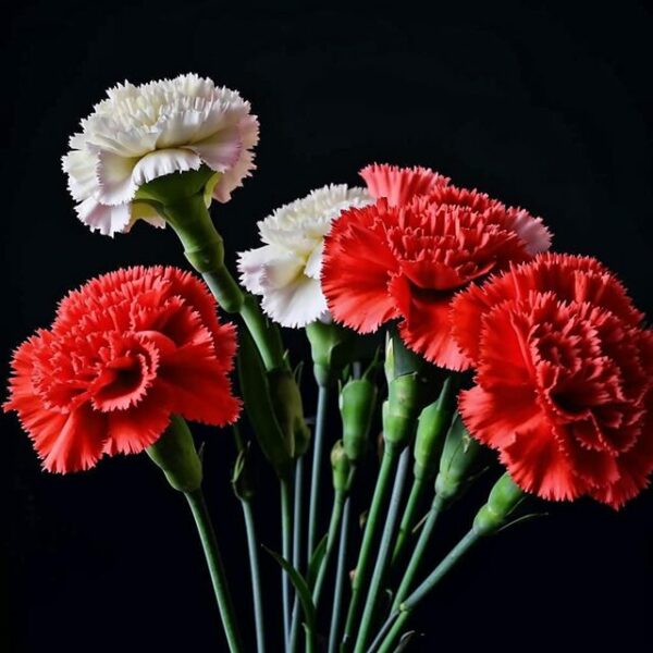 День Победы в крепости Орешек