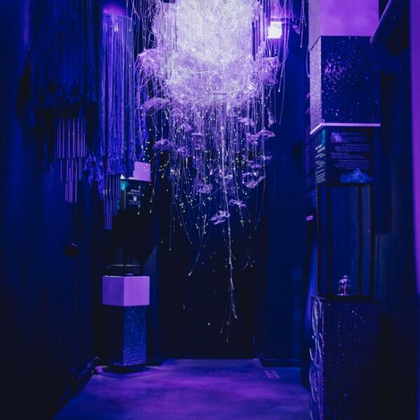 Выставка «SENSE. Почувствуй стихии» в Центре МАРС