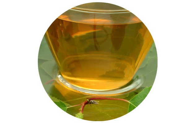 Листья березы. Фото: Pixabay