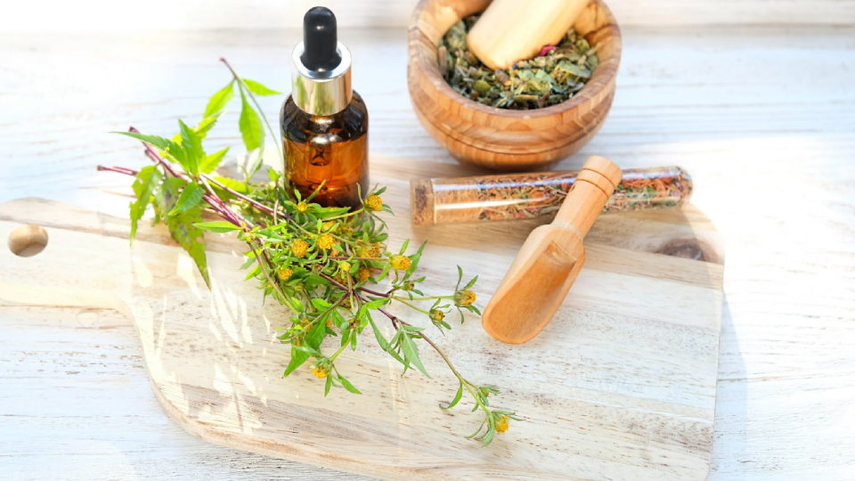 Череда трава