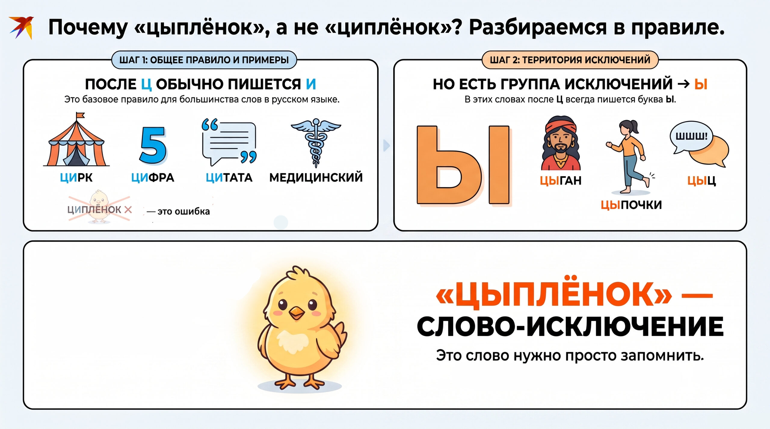 Цыпленок инфографика