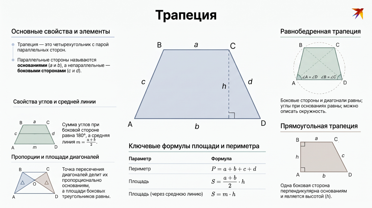 Трапеция инфографика