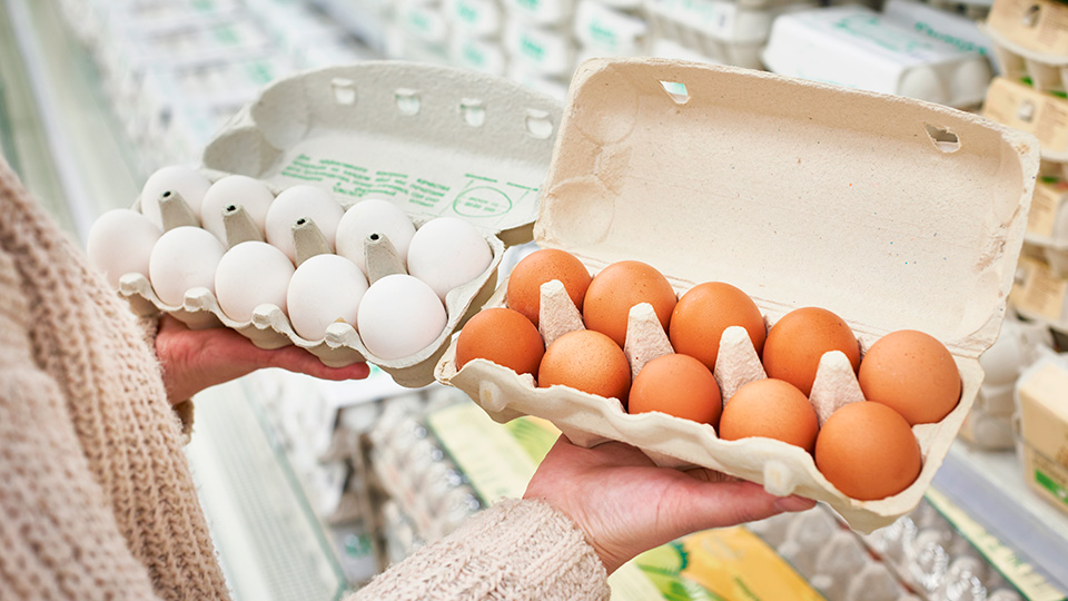 11 лучших куриных яиц в 2025 году