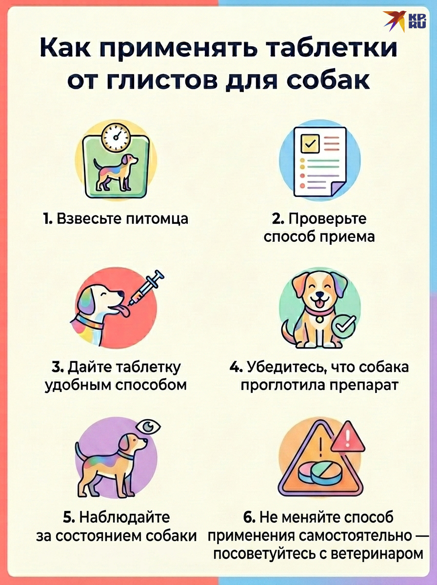 Инструкция по правильному применению таблеток от глистов для собаки