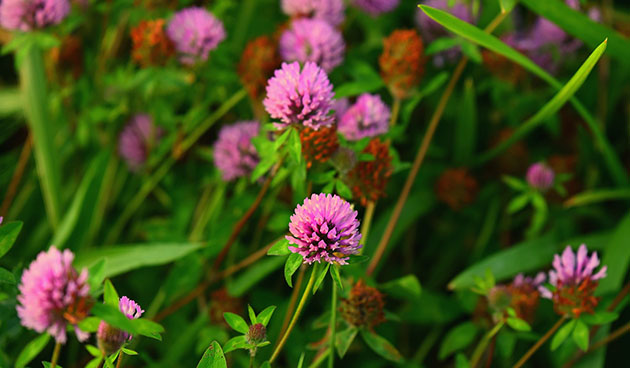 Жүкті әйелі мен күйеуі жыныстық қатынас