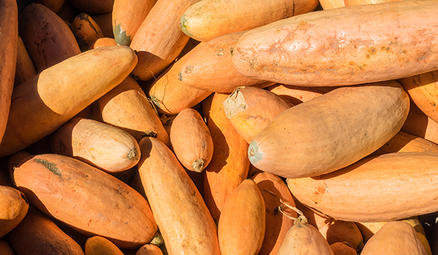 Розовые кабачки