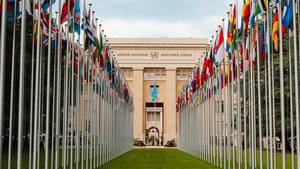 Международный день прав человека в 2025 году: история и традиции праздника