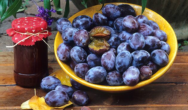 Варенье из сливы