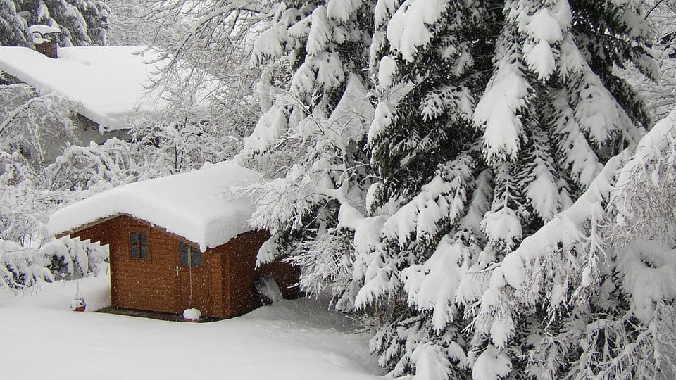 Работы в саду и огороде в феврале