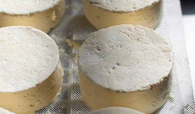 Как правильно хранить сыр