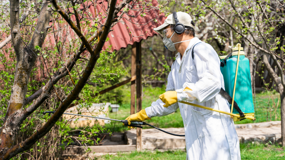 Нашатырный спирт от тли