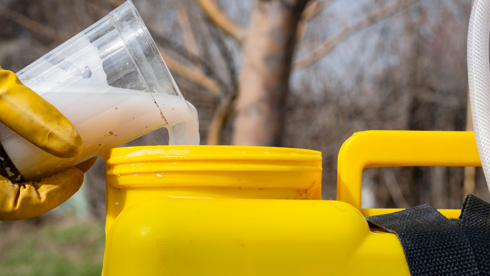 10 лучших средств от сорняков в 2025 году