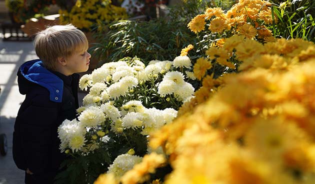 Прогулка по ботаническому саду