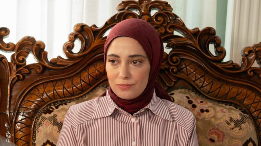 Героизм Асиля и сумасшествие Элиф: Описание 134 серии «Клюквенного щербета»