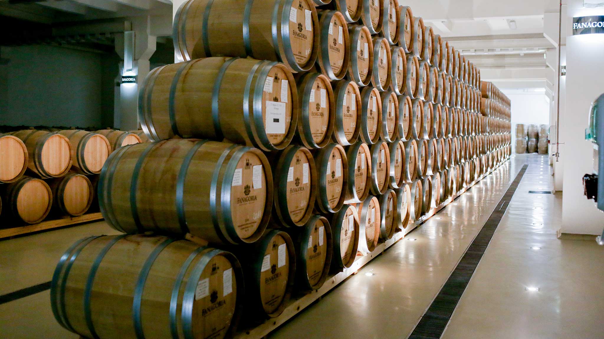 винные бочки