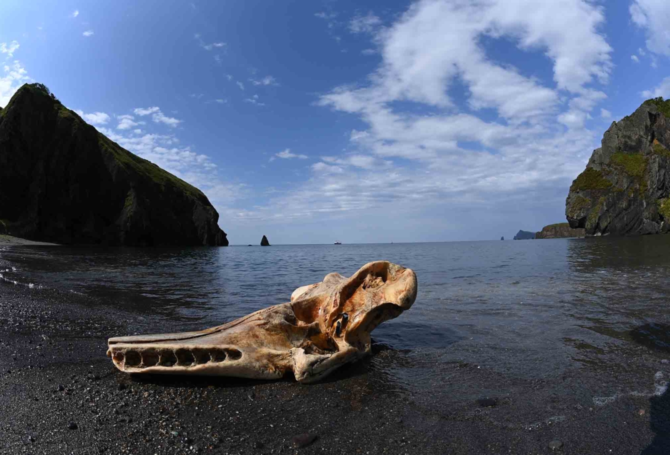 экспедиция на курилы 199