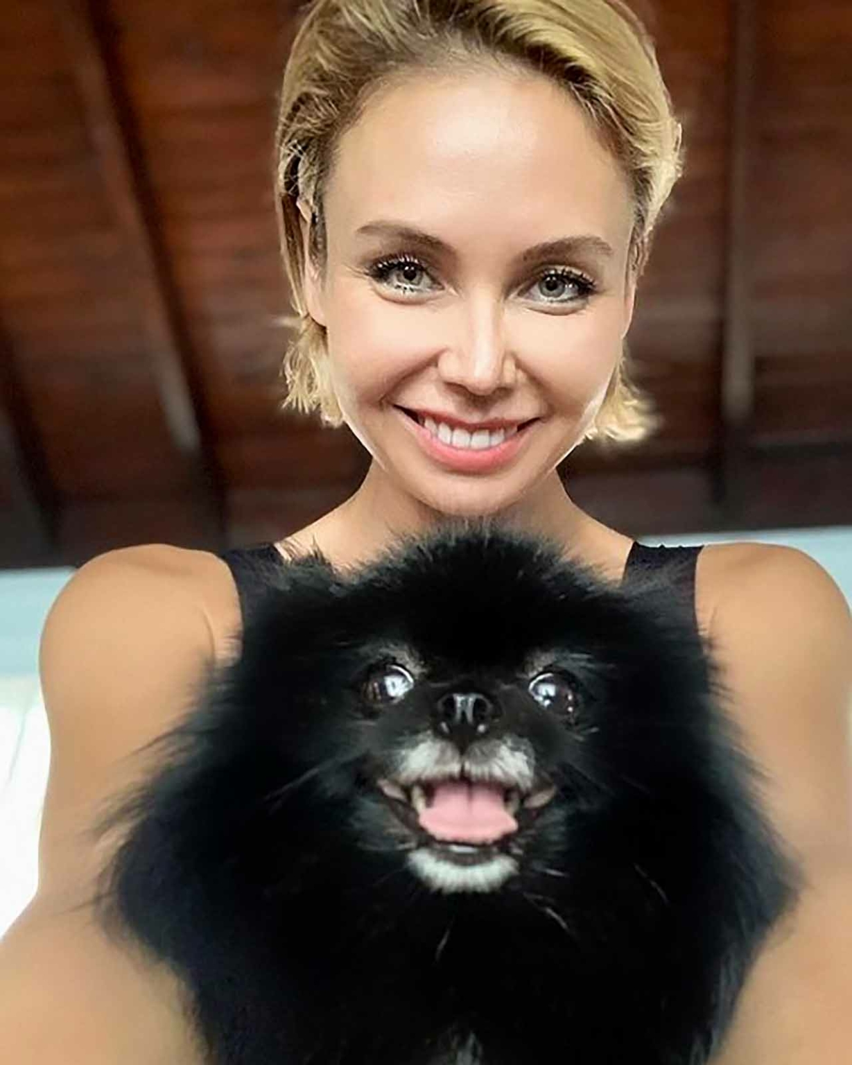 собаки ляйсан и воли