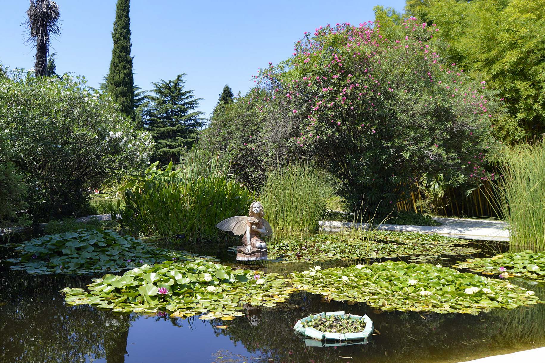 Дендрарий адлер южные культуры. Парк южные культуры адлер. Южные культуры адлер. Парке южных культур в сочи. Дендрологический парк южные культуры сочи.