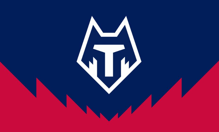 От ФК «Тамбов» осталась только эмблема. Фото: сайт ФК «Тамбов»