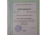 Алина Шоль