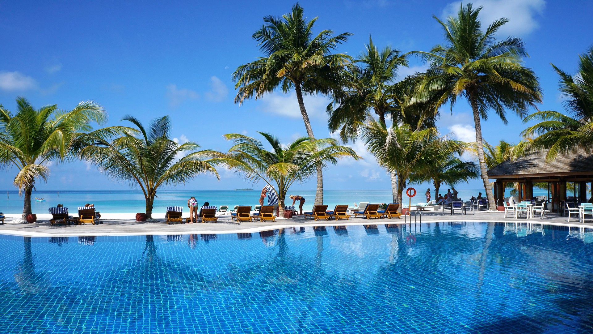 Бассейн у тропического пляжа с пальмами и шезлонгами, атолл Меему.